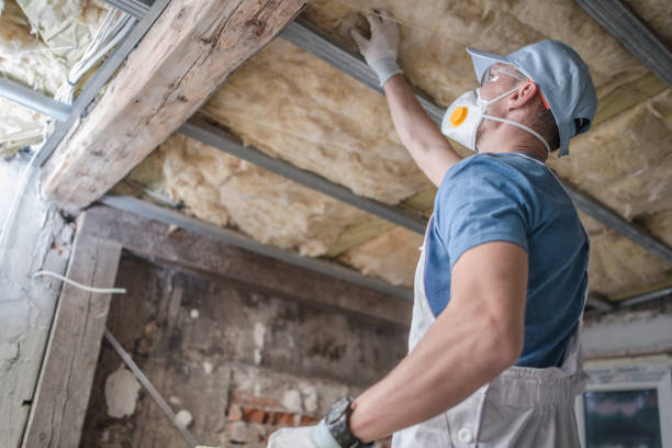 Trusted Lake Forest, CA Insulation Contractor Experts